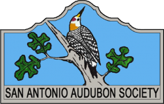Logo for the San Antonio Audubon Society featuring a woodpecker perched on an oak branch, representing birding in San Antonio.